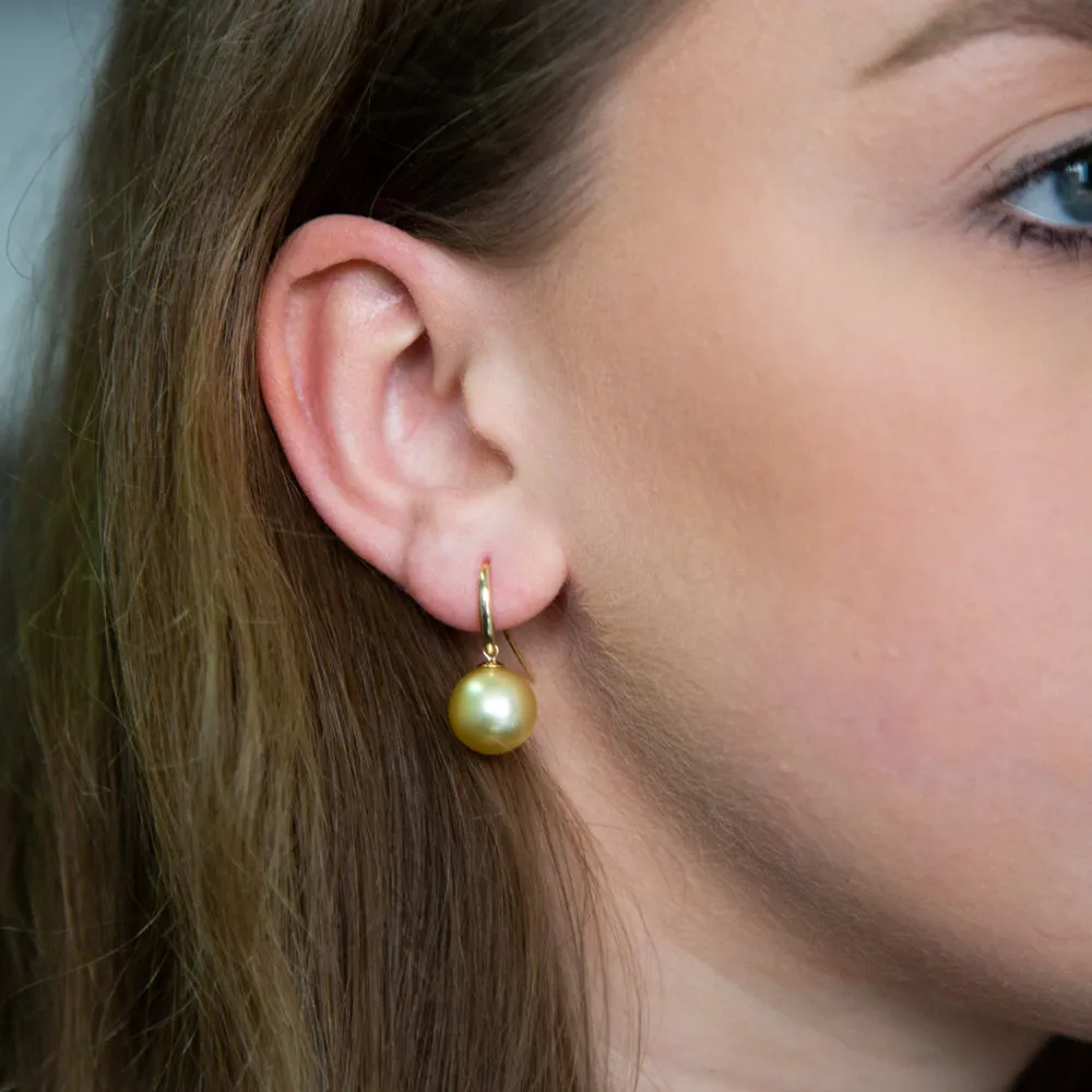 9ct Yellow Gold 10-12mm Golden South Sea Pearl Earrings