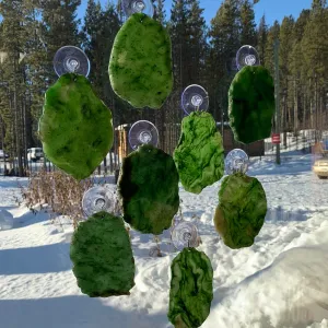 Jade Sun Catcher