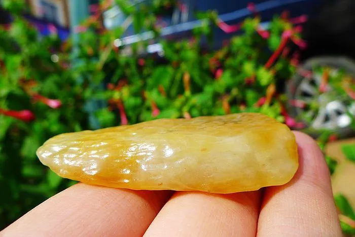Natural Jade Rough Jadeite Raw (24g,5.7X2.2X0.9cm)