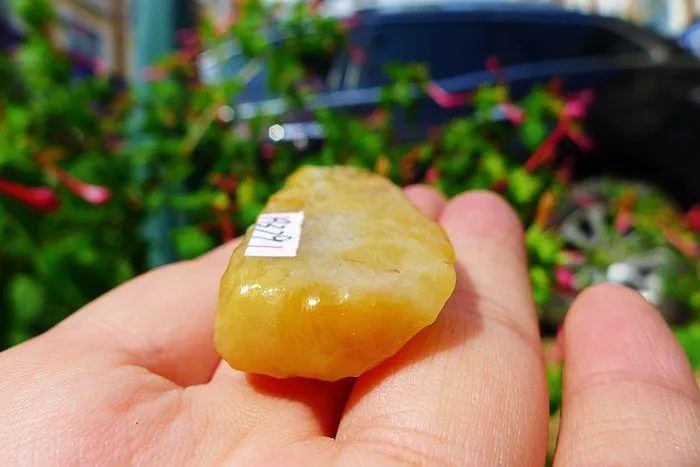 Natural Jade Rough Jadeite Raw (24g,5.7X2.2X0.9cm)