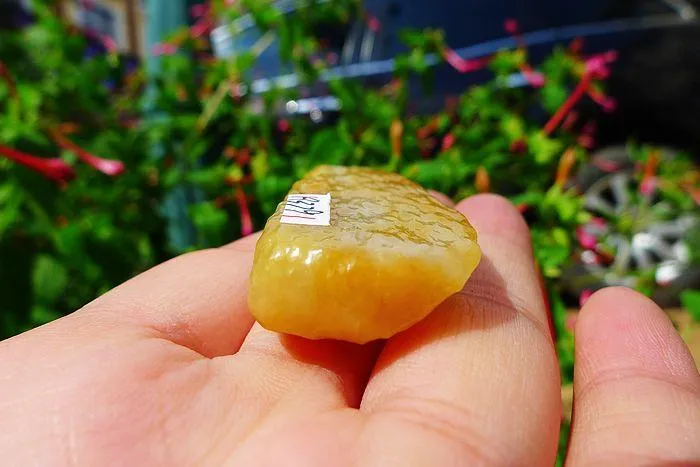 Natural Jade Rough Jadeite Raw (24g,5.7X2.2X0.9cm)