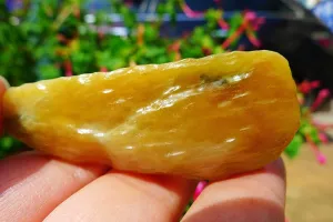 Natural Jade Rough Jadeite Raw (24g,5.7X2.2X0.9cm)