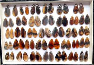 Natural Montana Agate Gemstone Loose Pair